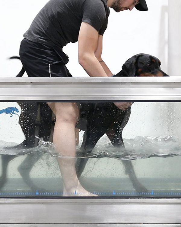 aqua training deborah honden